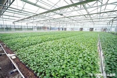 大荔農產品產地行 “從農田到餐桌”，品質看得見