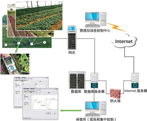 廣西智慧農(nóng)業(yè)物聯(lián)網(wǎng)攜手毛葡萄 共鋪脫貧致富路