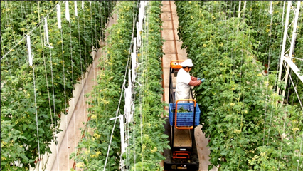 江蘇南通 龍?bào)J虎步，家庭農(nóng)場(chǎng)踏春來